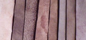 Rudbeckia dye samples