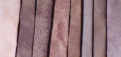 Rudbeckia dye samples Rudbeckia dye samples