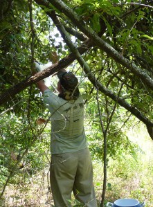 picking from the ground