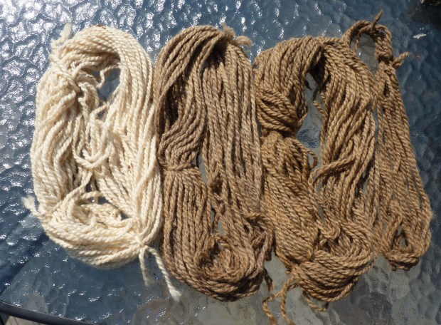dyed and rinsed yarn