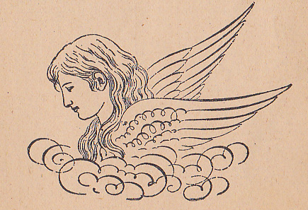 1894 ornamental pen drawing