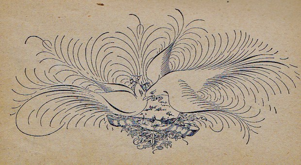 1894 ornamental pen drawing