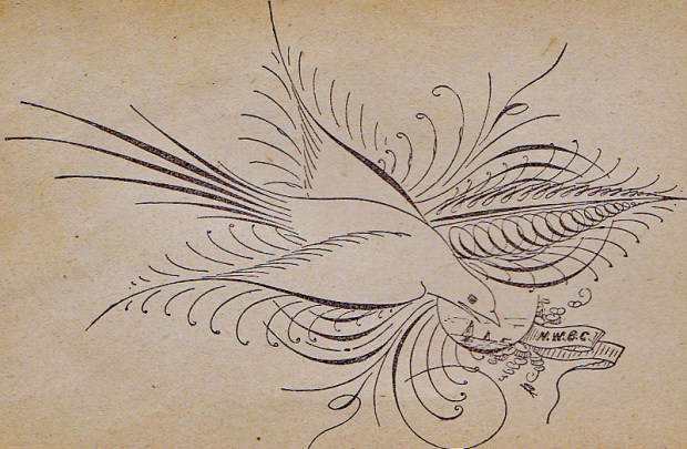 1894 ornamental pen drawing