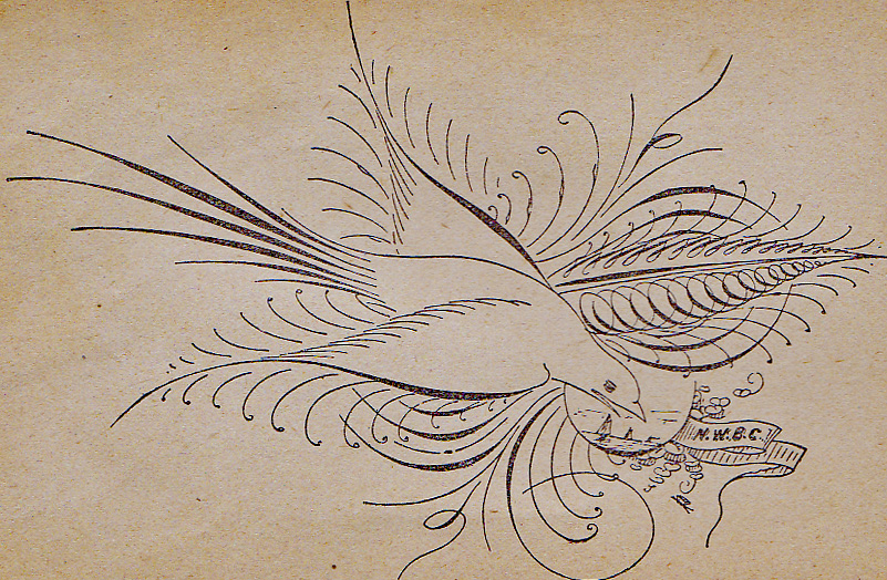 1894 ornamental pen drawing