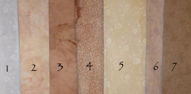 grapevine and gaillardia samples