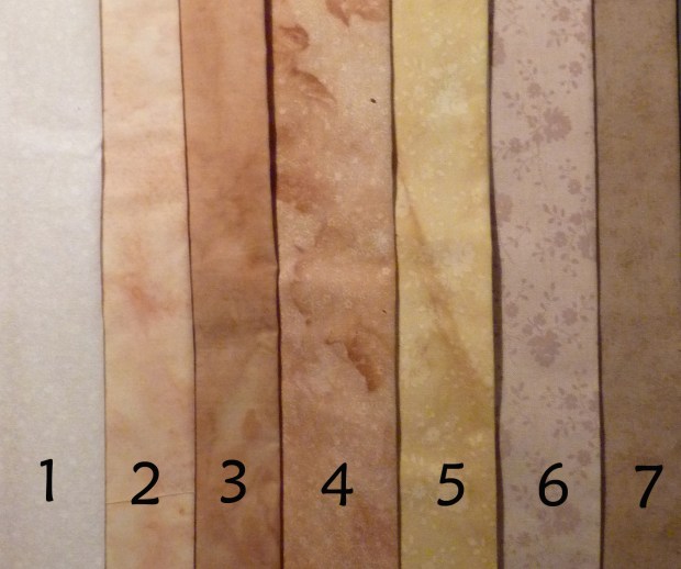 dye samples of grapevine and gaillardia