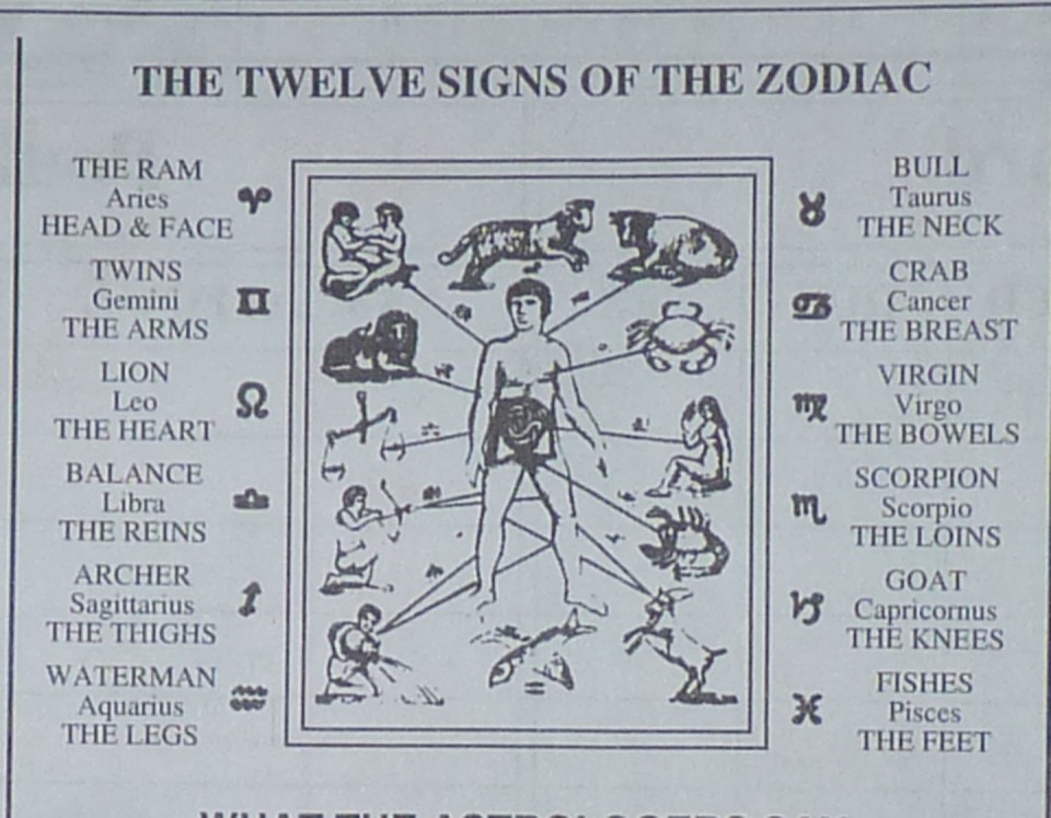 diagram of zodiac