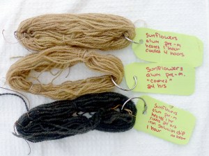 sunflower dye samples