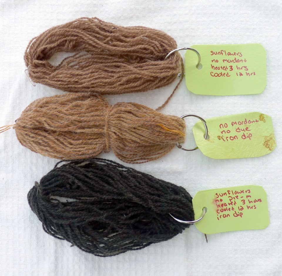 sunflower dye and iron results