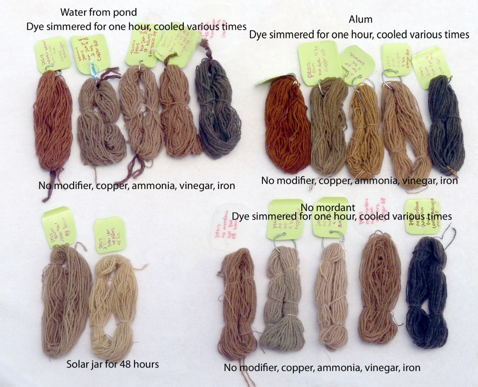 pear dye samples 2