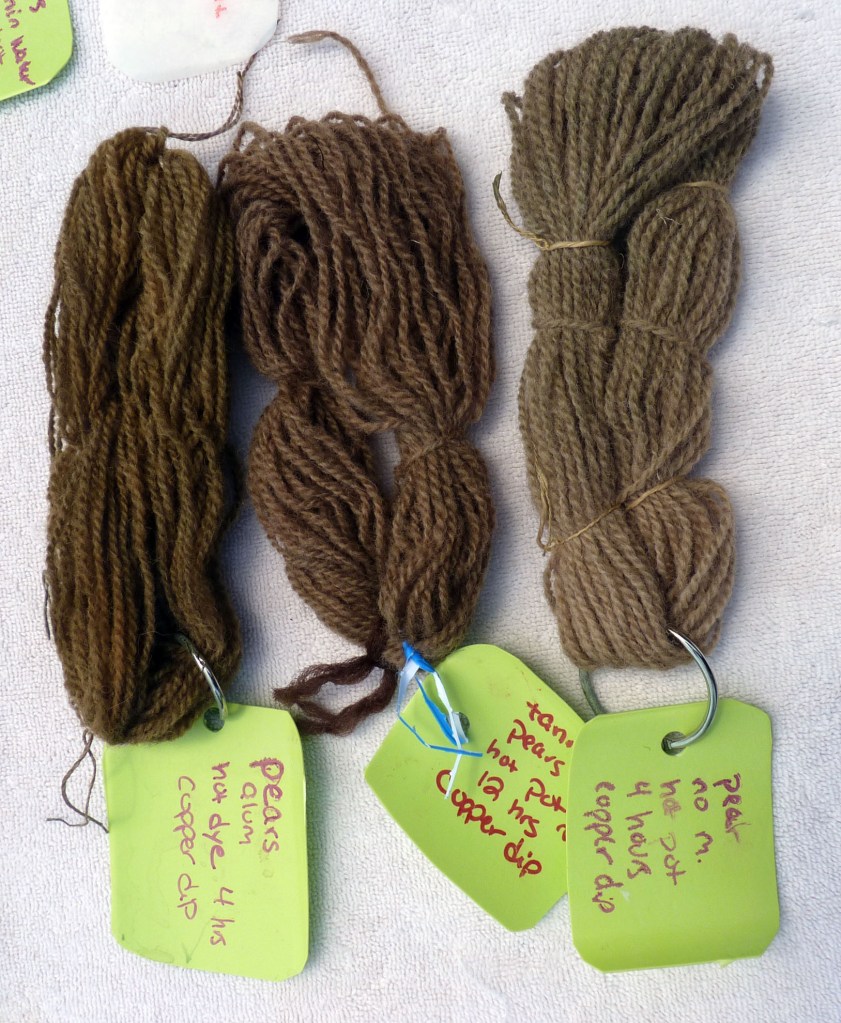 copper dipped samples