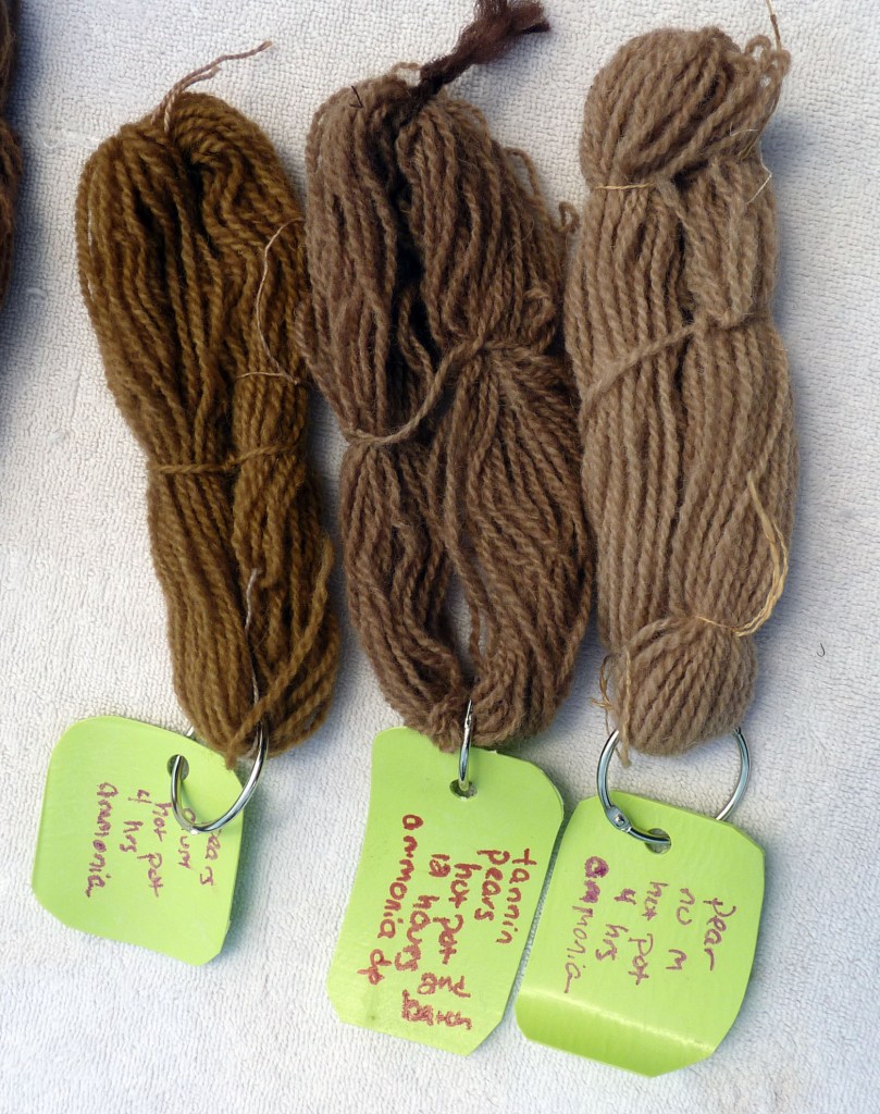 ammonia dipped samples