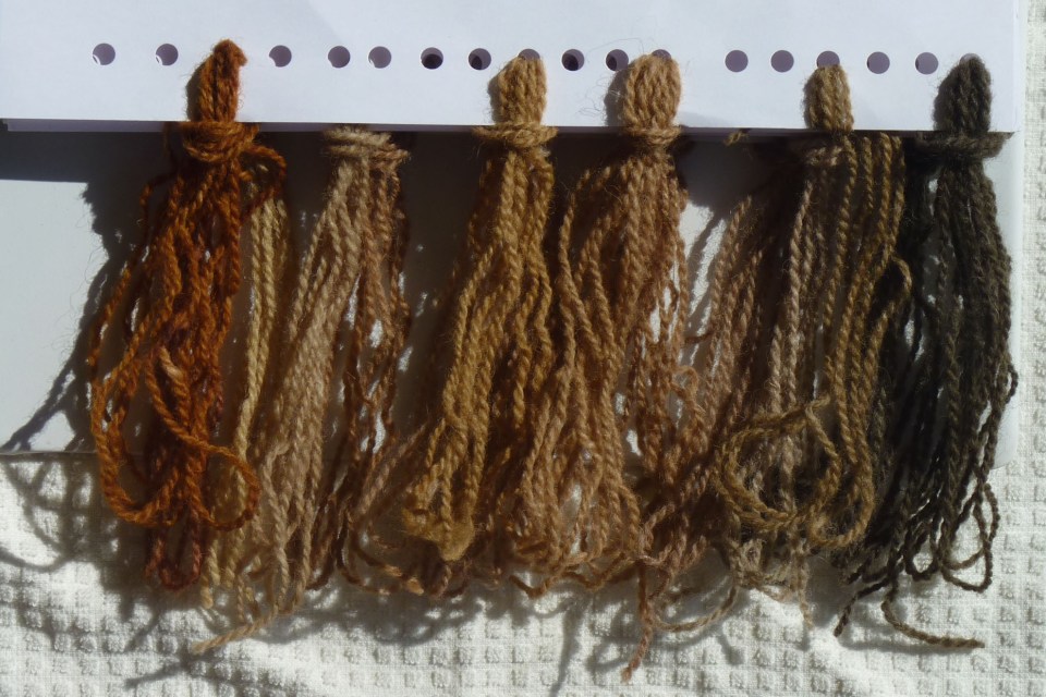 dye samples