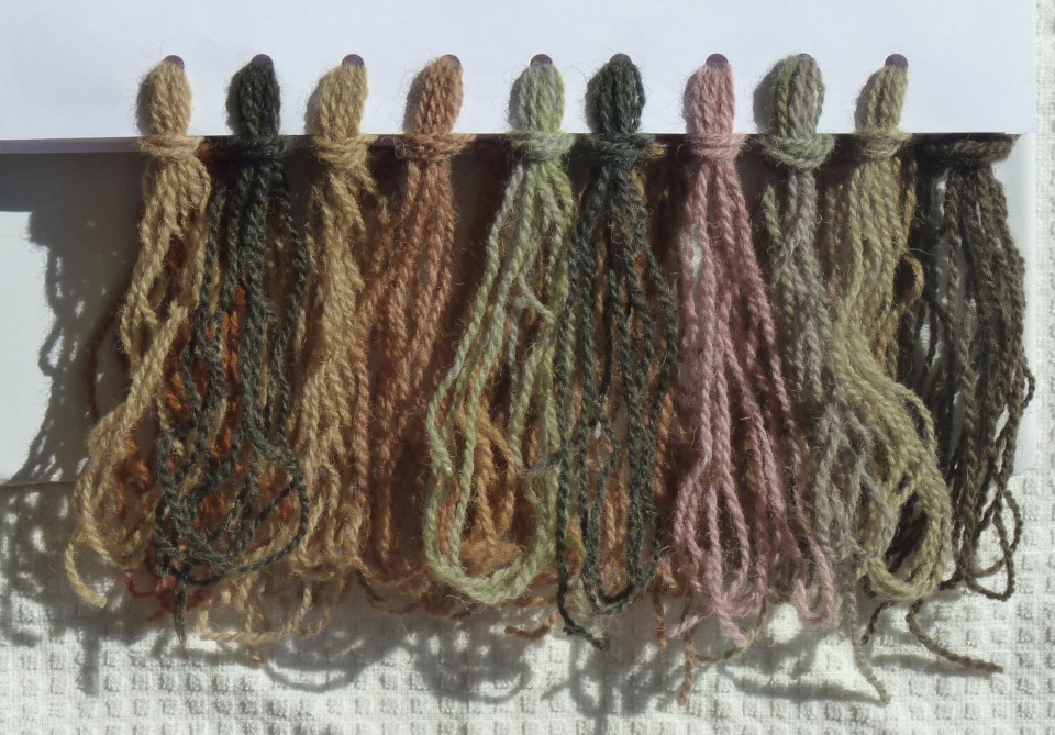 sunflower dye samples