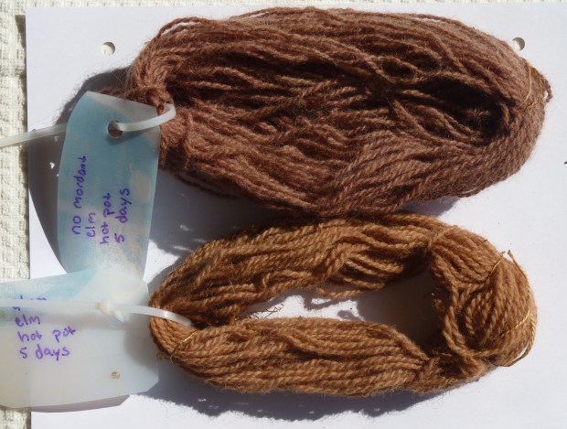elm dye samples
