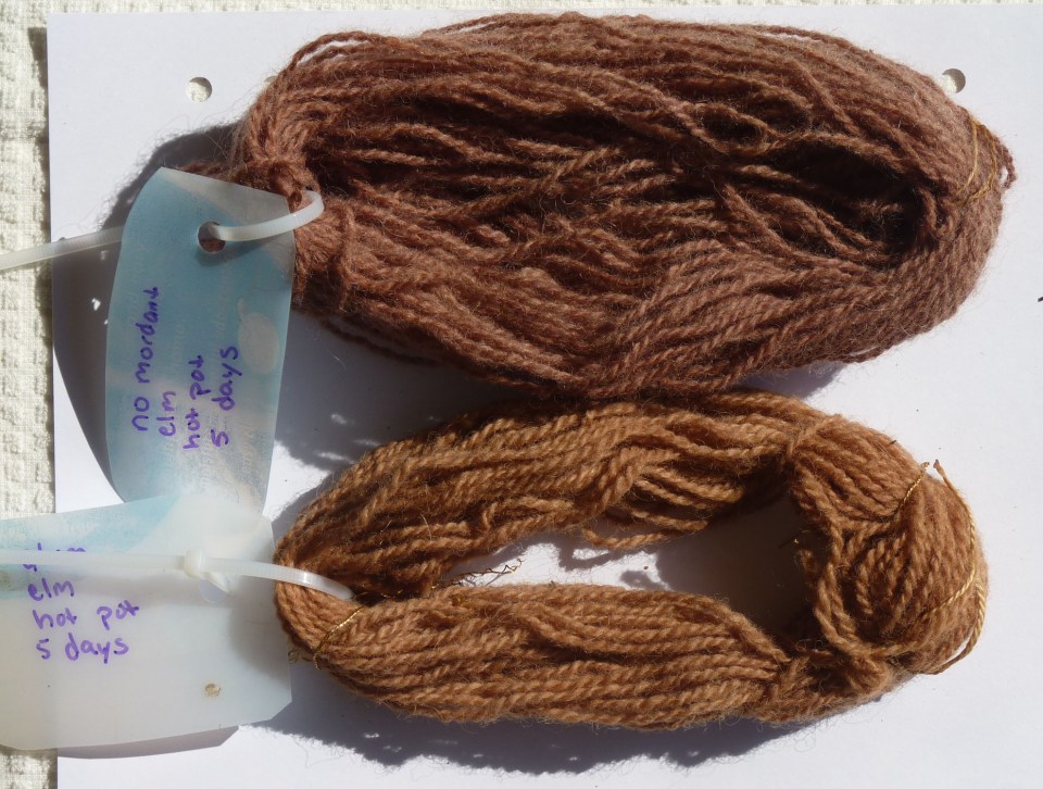 elm dye samples
