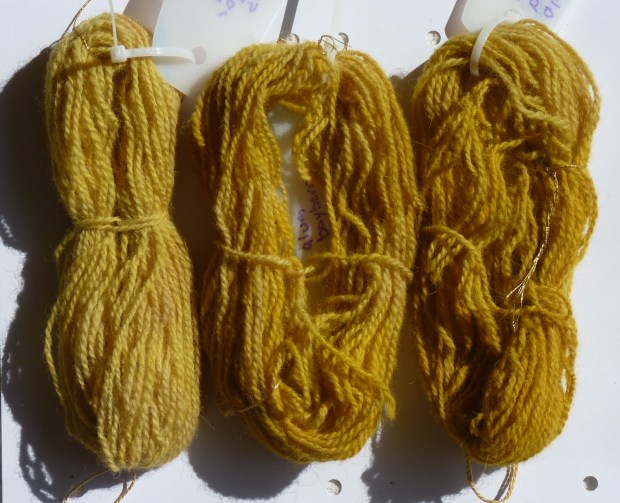 bayberry dye samples