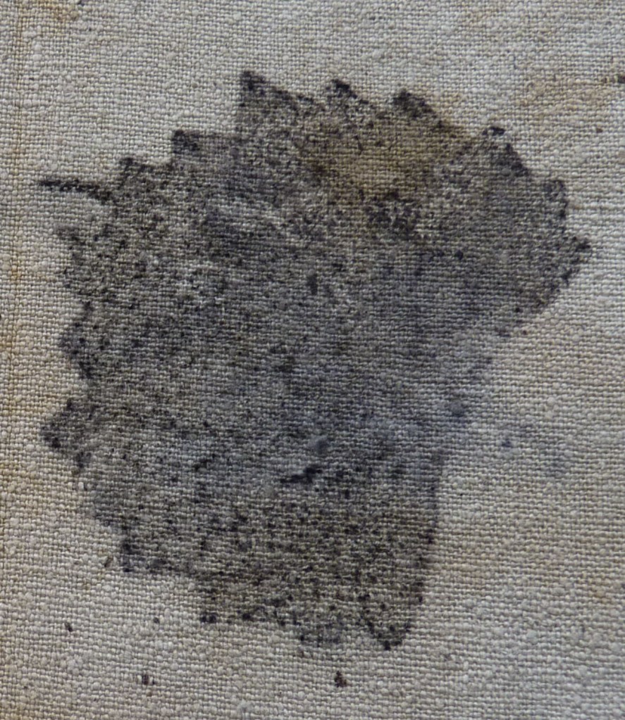 grape leaf print