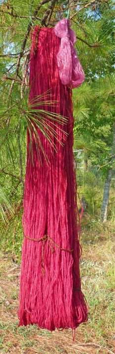 poke berry red yarn