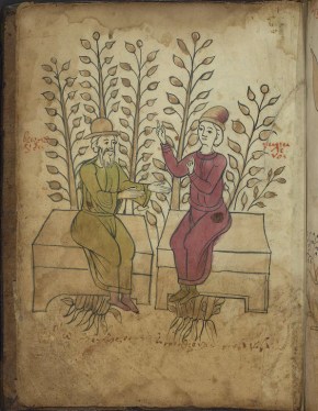 page from herbal