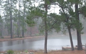 rain on pond