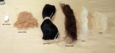 fibers from animals
