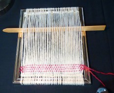 shed stick and warps