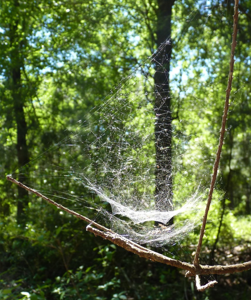 web