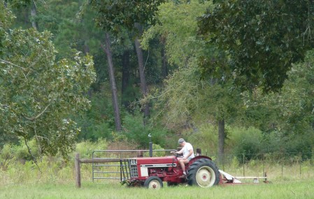 9 - 10 am - Look for cute farmers.
