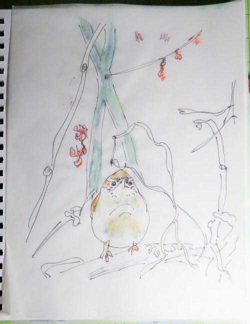 A simple tracing with some colored pencil details.