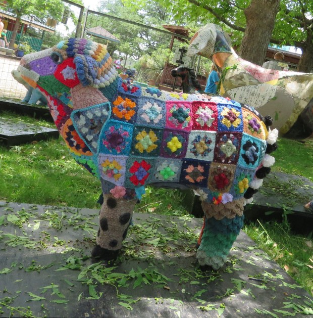 Too Cool for Wool, by Sara Allen.  Part of the 2015 Zoo Revue at the Austin Zoo.