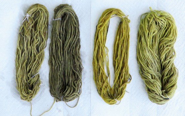 Sample 1 (purple flower), Sample 2 (white flower),  Sample  4 (red jointed), Sample 5 (goldenrod).