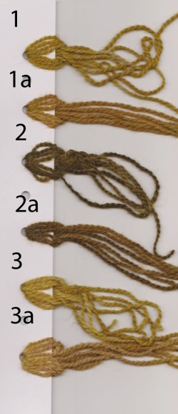 1 and 3, mystery plant in solar jar; 2, dipped in copper after dyeing.  1a, 2a, and 3a show how those colors held up to being in direct sunlight.