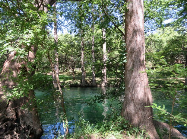 Spring fed Blue Hole in Wimberley.