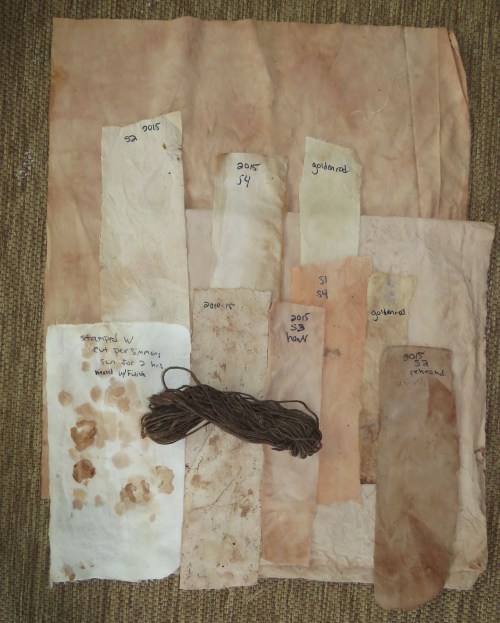 Persimmon dye samples.