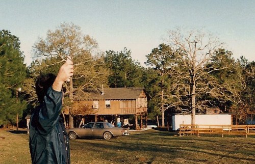 Early days of the oak and pine.