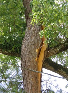 Scary-looking split.