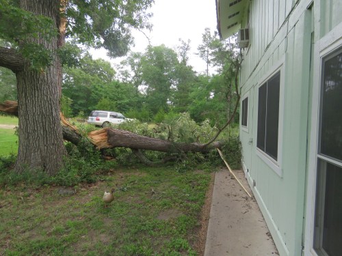 First glimpse in the morning, not so bad.