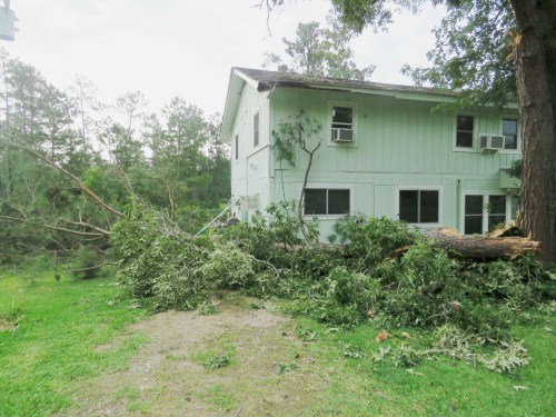 The fallen tree extends past the house.