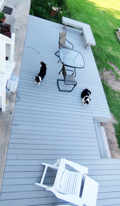 New, happy, modern boards made from sawdust and recycled plastic!!!