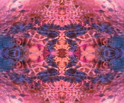 The painted section reversed and reflected.