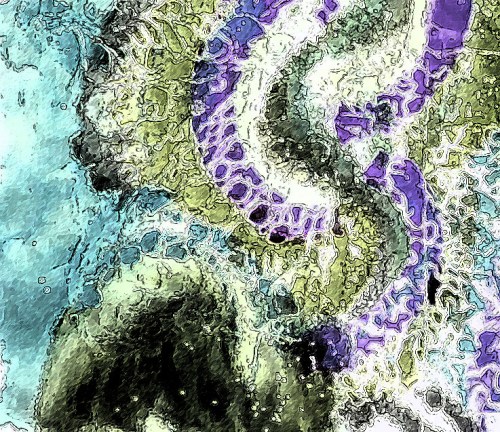 An interesting portion cropped from the photo above, and run through a few of the filters in Photoshop.