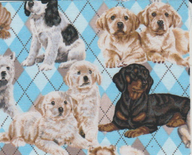 ScrapHappy February 2019 | Deep in the Heart of Textiles