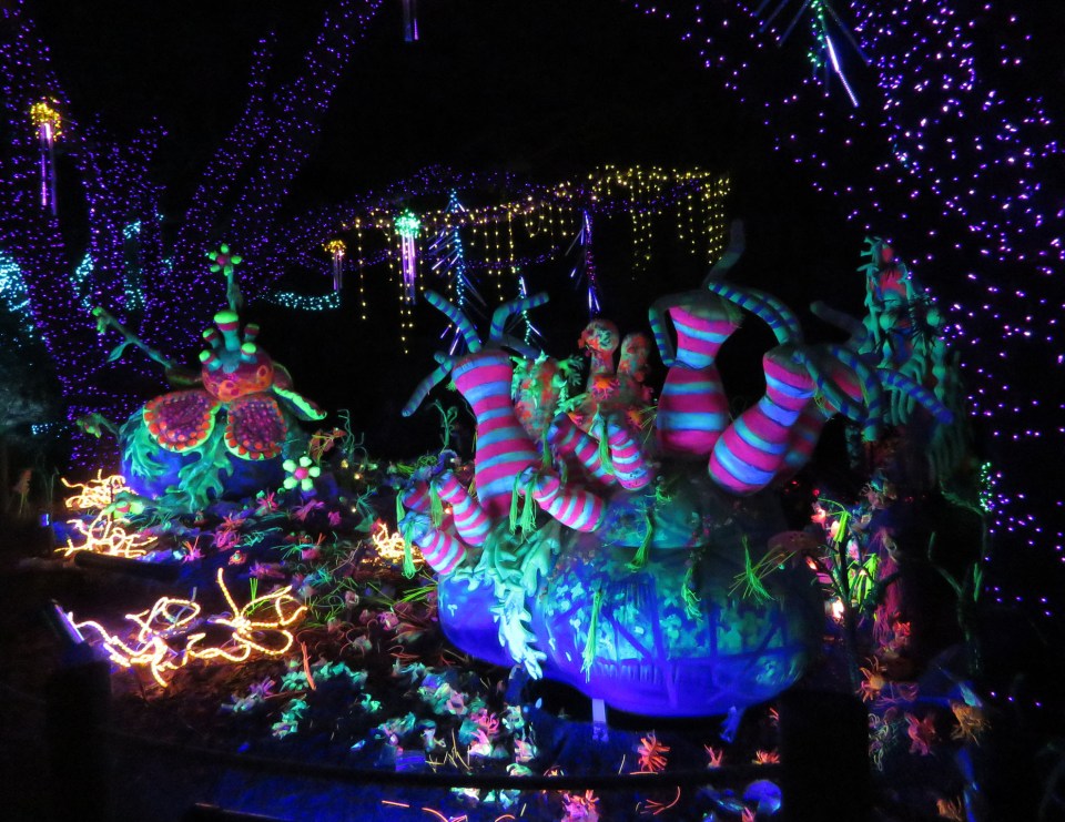 light display from Houston Zoo Lights.