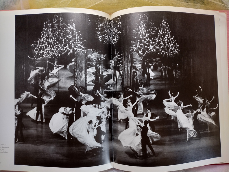 a large group of dancers waltzing in a ballet production